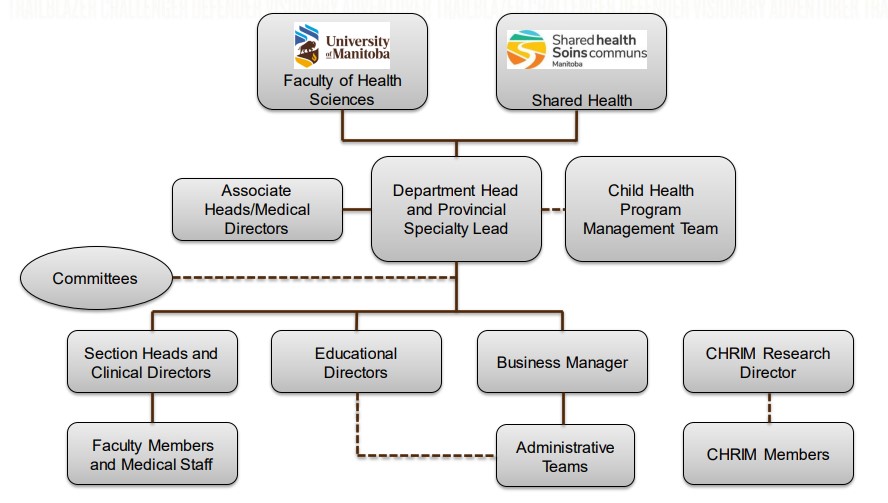 flow diagram of the department of pediatric and child health governance sructure